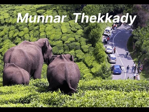 Munnar with Thekkady Just in 3 Nights
